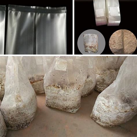 do you need autoclave bags for mushrooms|can mushrooms grow in bags.